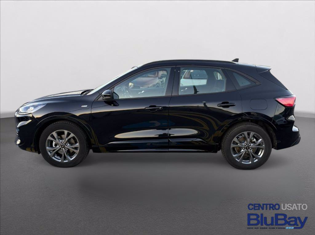 FORD Kuga 1.5 EcoBlue 120 CV aut. 2WD ST-Line