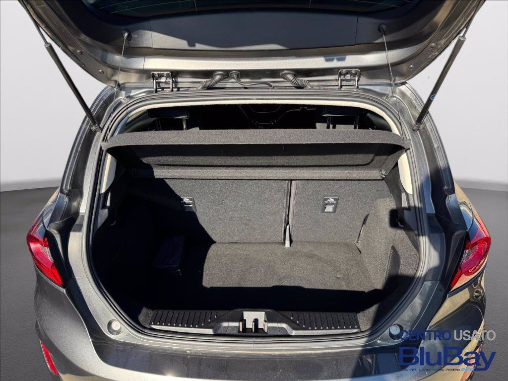 FORD Fiesta 1.1 75 CV GPL 5 porte Titanium