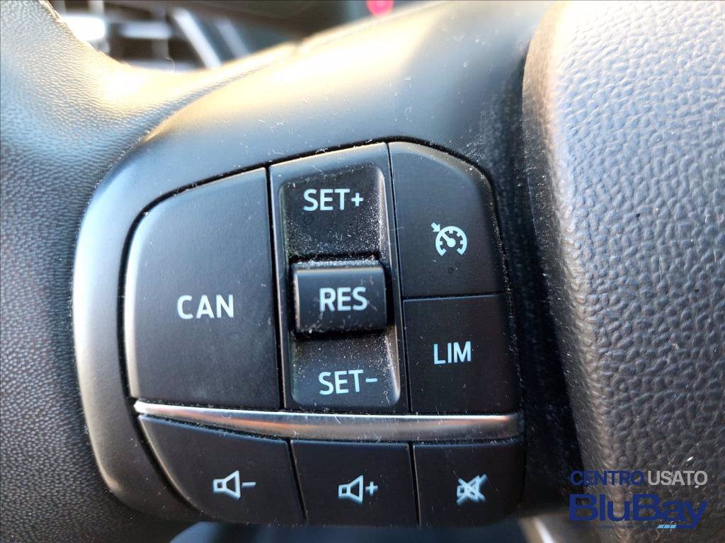 FORD Puma 1.0 EcoBoost Hybrid 125 CV S&S Titanium