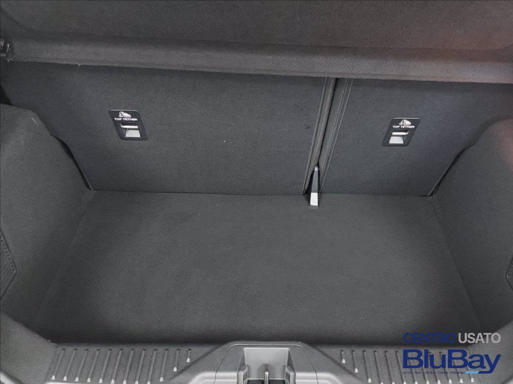 FORD Fiesta 1.0 Ecoboost Hybrid 125 CV 5 porte Titanium