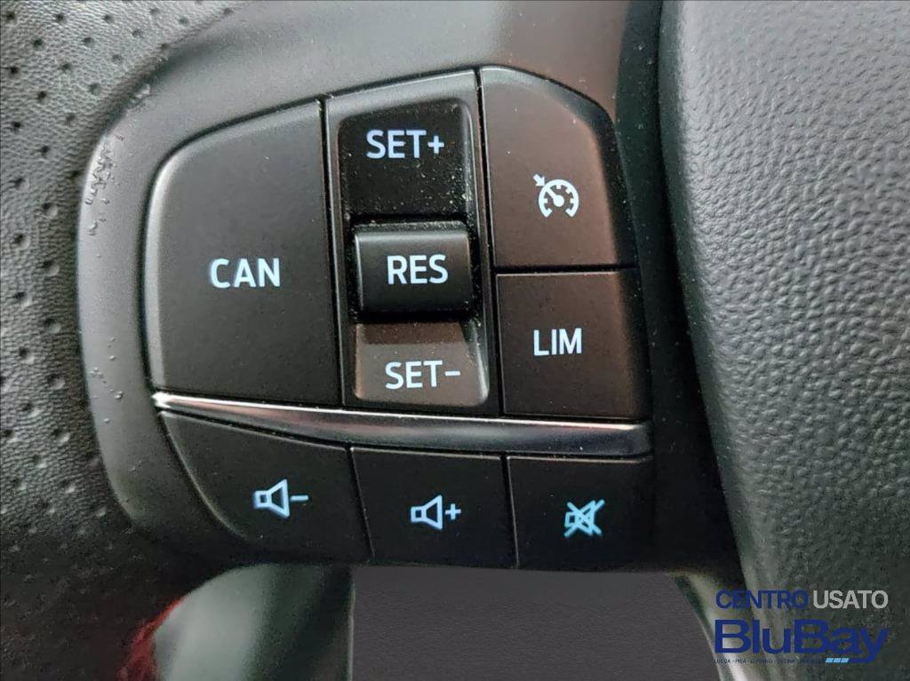 FORD Fiesta 1.0 Ecoboost Hybrid 125 CV 5 porte Titanium