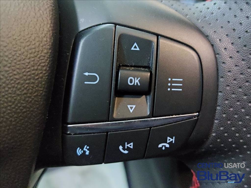 FORD Fiesta 1.0 Ecoboost Hybrid 125 CV 5 porte Titanium