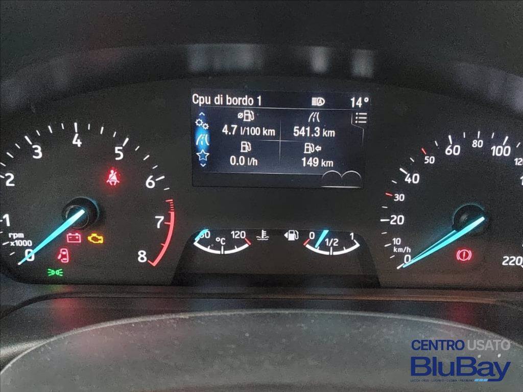 FORD Fiesta 1.0 Ecoboost Hybrid 125 CV 5 porte Titanium