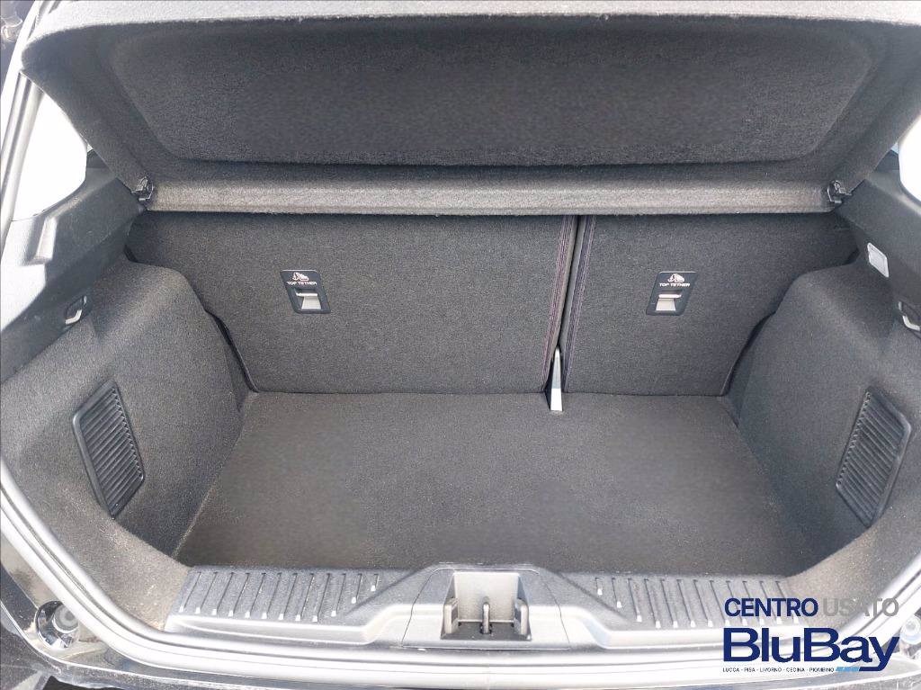 FORD Fiesta 1.0 Ecoboost Hybrid 125 CV 5 porte Titanium