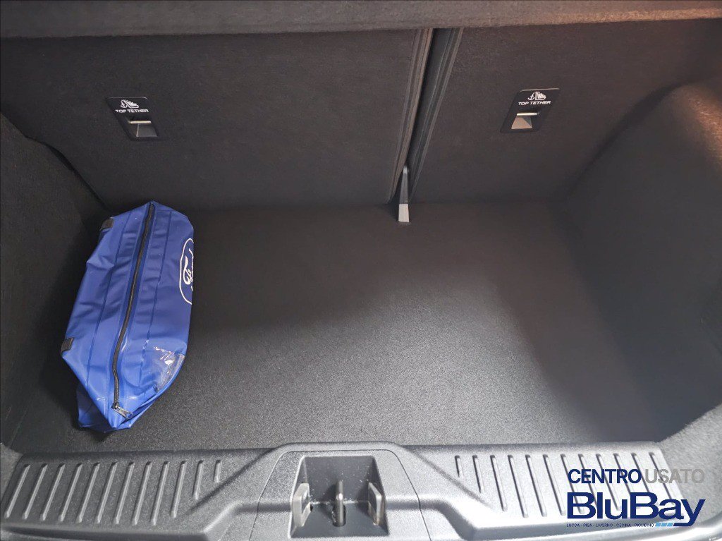 FORD Fiesta 5p 1.0 ecoboost h st-line 125cv