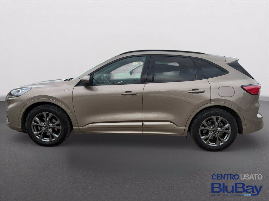 FORD Kuga 1.5 EcoBlue 120 CV aut. 2WD ST-Line X