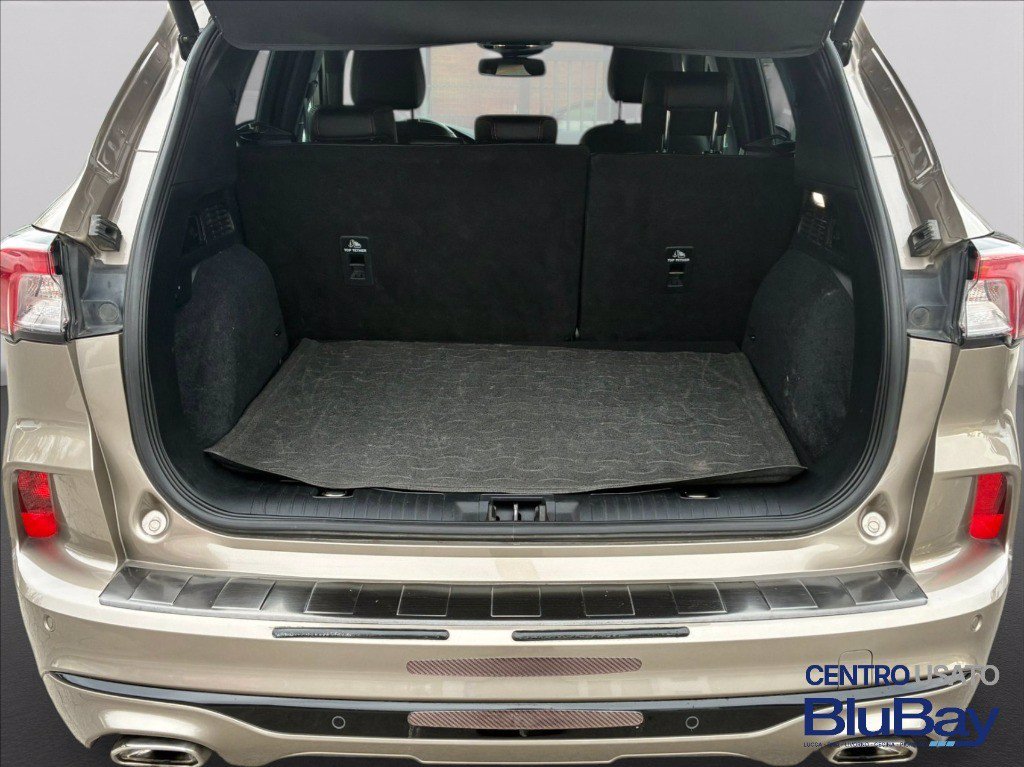 FORD Kuga 1.5 EcoBlue 120 CV aut. 2WD ST-Line X