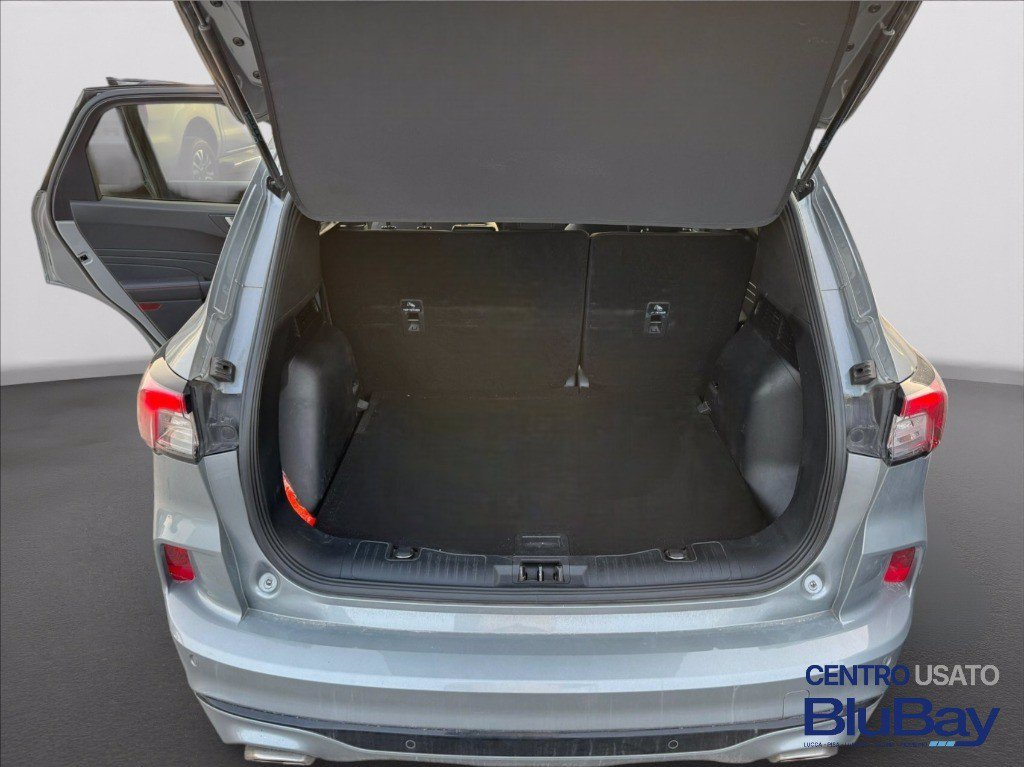 FORD Kuga 1.5 EcoBlue 120 CV 2WD ST-Line