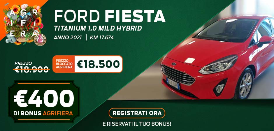 Fiesta Usato 940X450