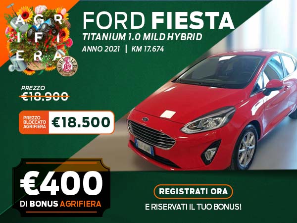 Fiesta Usato 600X450