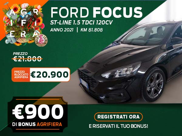 Focus Usato 600X450