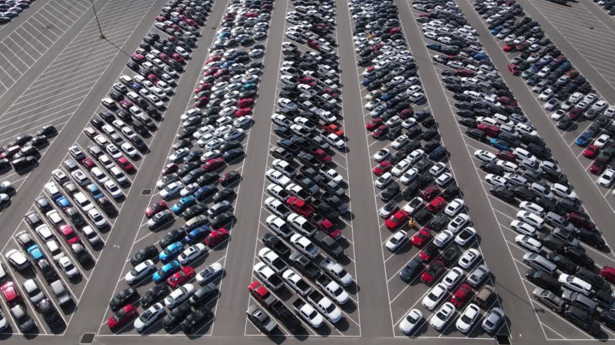 Venditori Auto Nuove E Usate Multimarca – Blubay S.P.A