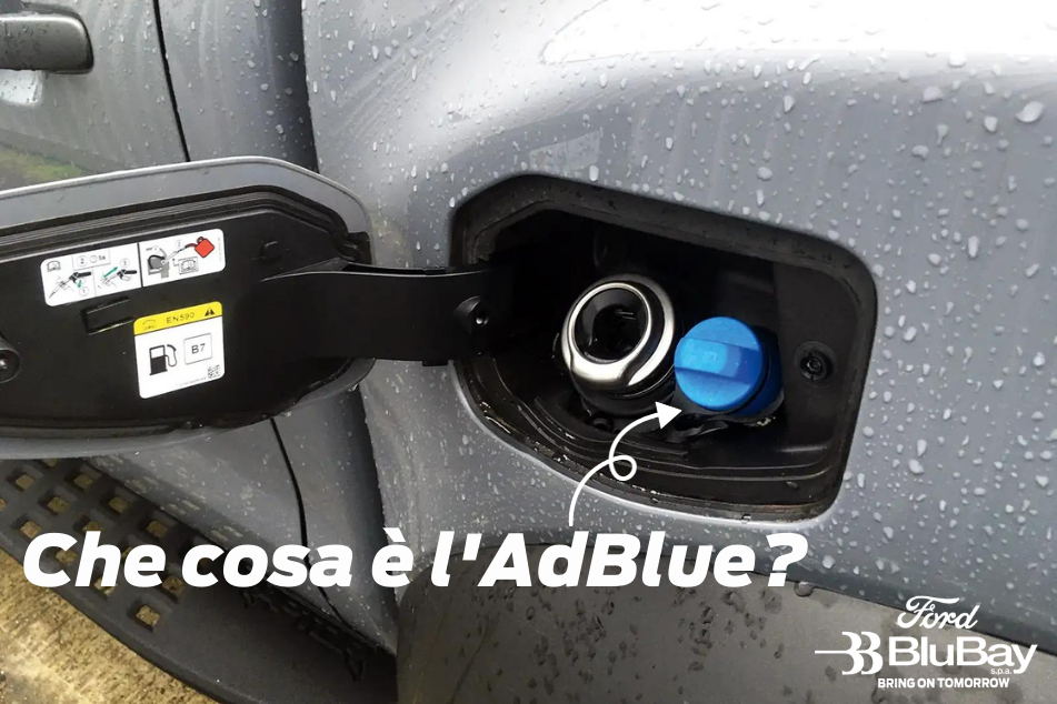 Che Cosa È Ladblue