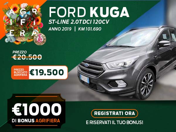 Kuga Usato 600X450